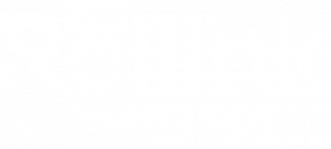 Rollink-logo-300x135